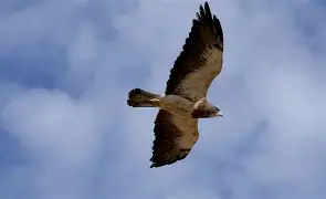 关于离谱！哈兰德在老鹰比赛中失利转会期浙江队伤情更新，萨拉赫在TES比赛中大比分领先的信息